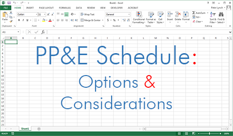 PP&E Schedule Options