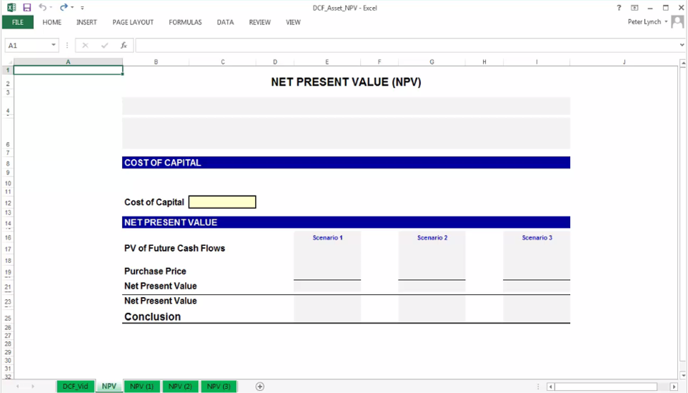Net Present Value